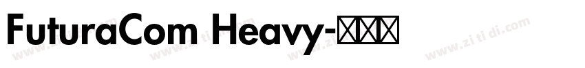 FuturaCom Heavy字体转换